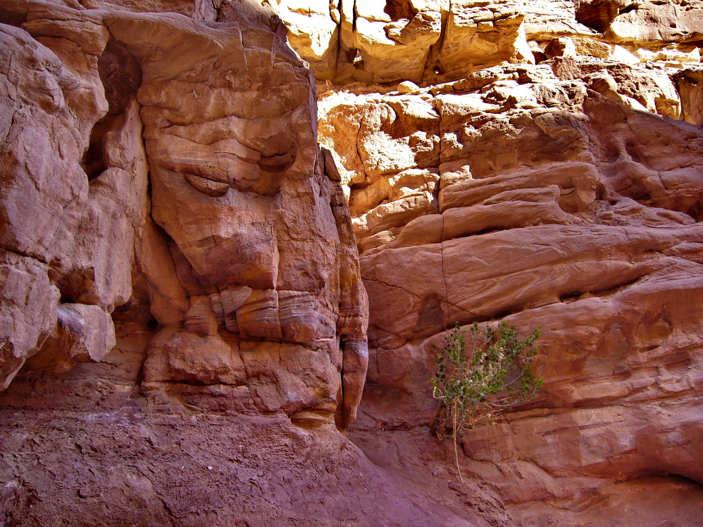Formazioni rocciose nel Canyon Colorato, Sinai