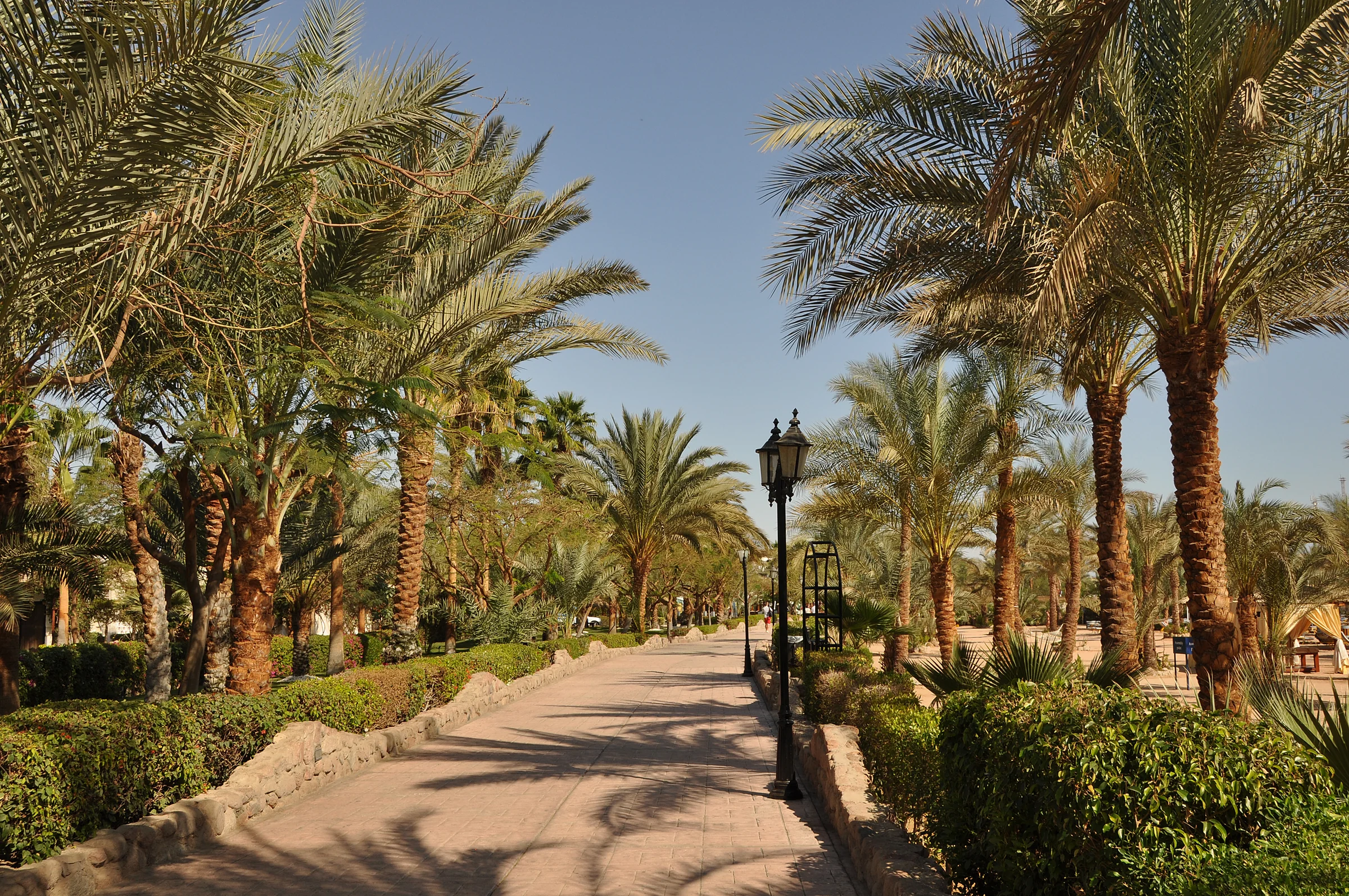 Passeggiata tra le palme a Naama Bay, Sharm El Sheikh