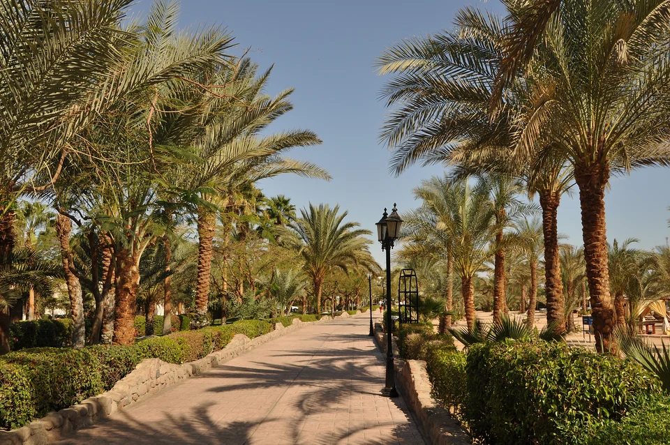 Passeggiata tra le palme a Naama Bay, Sharm El Sheikh
