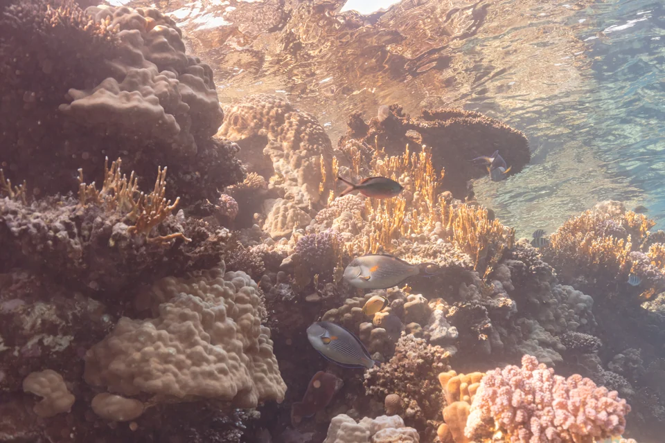Paesaggio della destinazione — Sharm El Sheikh