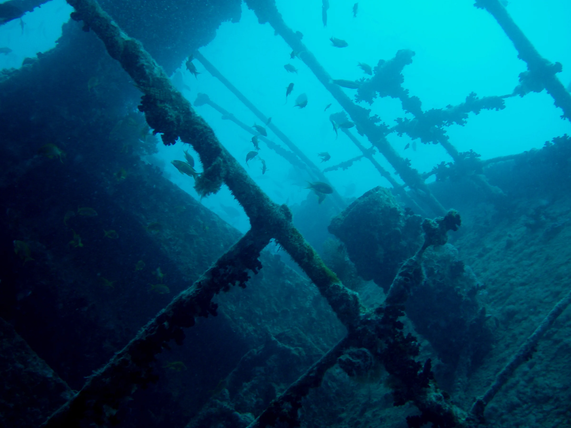 Vista subacquea del relitto del Thistlegorm